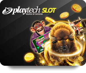 ทำไม Slot666 Wallet เดียวจึงเป็นที่นิยมในวงการการพนัน